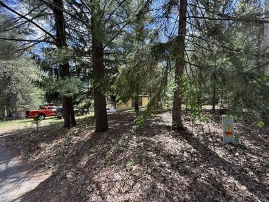FOR SALE: Ultimate Wooded Lake Retreat Near Goose LakeEscape to - photo 4