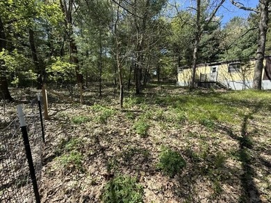 FOR SALE: Ultimate Wooded Lake Retreat Near Goose LakeEscape to - photo 6