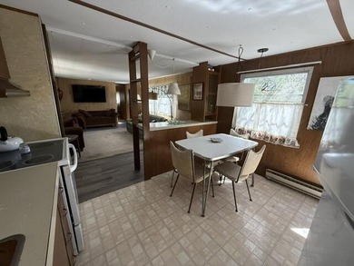FOR SALE: Ultimate Wooded Lake Retreat Near Goose LakeEscape to - photo 9