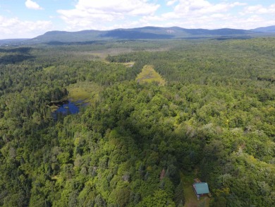 Lake Acreage Off Market in Brighton, Vermont
