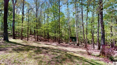 Welcome to your private waterfront retreat on 10.5 stunning - photo 39