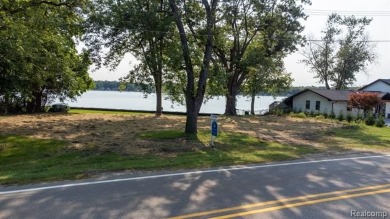 Lake Lot For Sale in Pinckney, Michigan