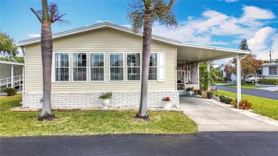 Lake Home For Sale in St. Petersburg, Florida