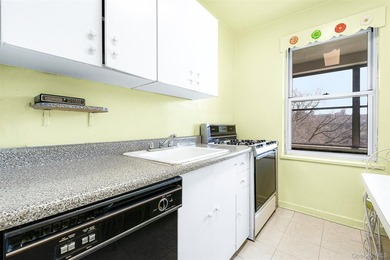 Sun-drenched home with southern exposure and park views. This - photo 14