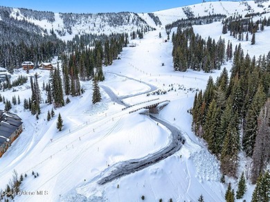 Welcome to Crystal View at Schweitzer! A truly unrivaled - photo 6