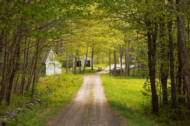 Just south of Fiddlers Reach, where the Kennebec River widens - photo 2