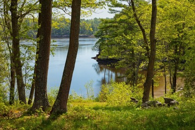 Just south of Fiddlers Reach, where the Kennebec River widens - photo 10