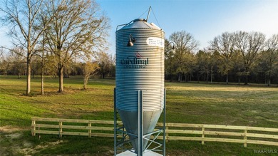 (private lake, pond, coastal) Acreage For Sale in Pike Road Alabama