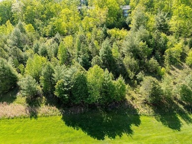 Waterfall Country Club - Golf Course frontage near Lake Burton - photo 14