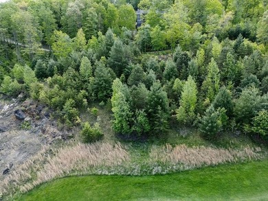 Waterfall Country Club - Golf Course frontage near Lake Burton - photo 15