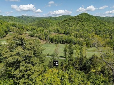 Waterfall Country Club - Golf Course frontage near Lake Burton - photo 17