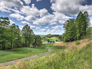 Waterfall Country Club - Golf Course frontage near Lake Burton - photo 18