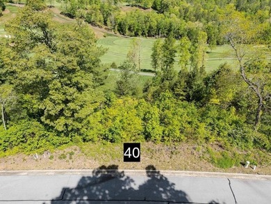 Waterfall Country Club - Golf Course frontage near Lake Burton - photo 22