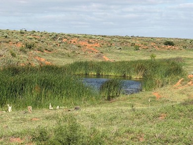 (private lake, pond, coastal) Acreage For Sale in Childress Texas