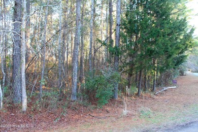 A great opportunity to build on a water access lot and - photo 8