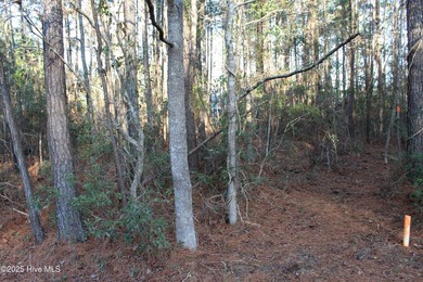 A great opportunity to build on a water access lot and - photo 9