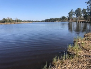(private lake, pond, creek) Lot For Sale in Belhaven North Carolina
