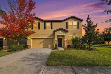 Lake Cherrywood Home For Sale in Riverview Florida