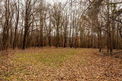 Nestled in the rolling hills of Warren County, Mississippi, this - photo 3