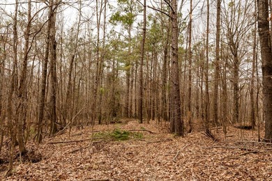 Nestled in the rolling hills of Warren County, Mississippi, this - photo 6