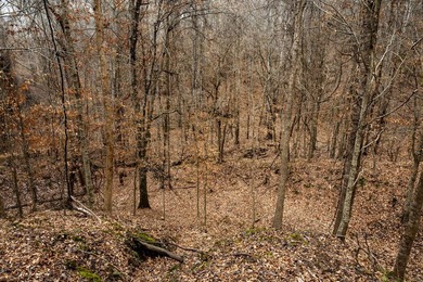 Nestled in the rolling hills of Warren County, Mississippi, this - photo 8