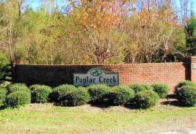 Lake Lot For Sale in Elloree, South Carolina