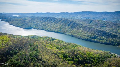 Watauga Lake Acreage For Sale in Butler Tennessee