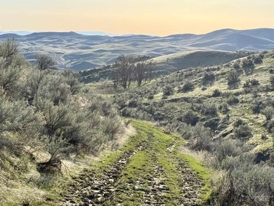 This extraordinary 4,079 acre ranch is located in the desirable - photo 11