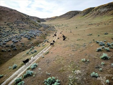 This extraordinary 4,079 acre ranch is located in the desirable - photo 13