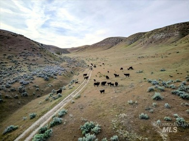 This extraordinary 4,079 acre ranch is located in the desirable - photo 14