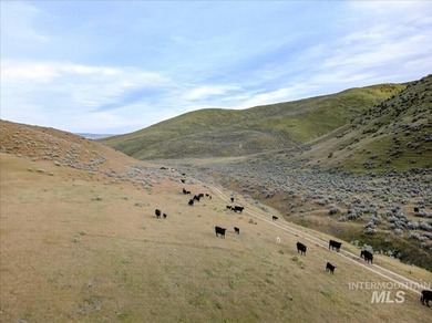 This extraordinary 4,079 acre ranch is located in the desirable - photo 15