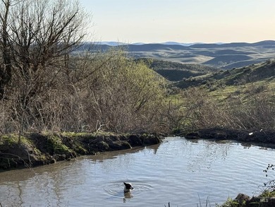 This extraordinary 4,079 acre ranch is located in the desirable - photo 33