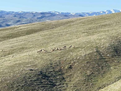 This extraordinary 4,079 acre ranch is located in the desirable - photo 36