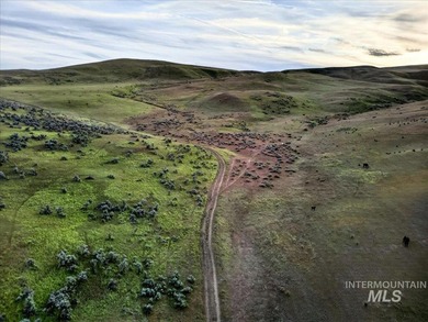 This extraordinary 4,079 acre ranch is located in the desirable - photo 41