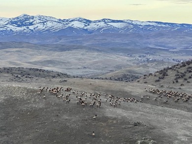 This extraordinary 4,079 acre ranch is located in the desirable - photo 49