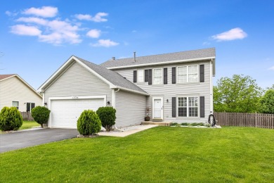 Lake Home Sale Pending in Minooka, Illinois