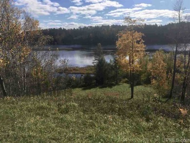 Hamilton Lake Acreage For Sale in Update Michigan