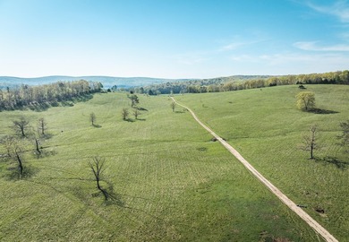 Don't miss out on your chance to own one of the most beautiful - photo 34