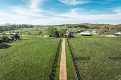 Don't miss out on your chance to own one of the most beautiful - photo 50