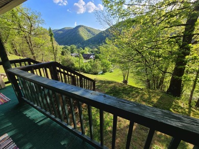 Meadow Creek WV. Lovely home sets above the New River. Four - photo 25