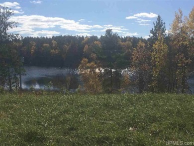 Lake Acreage Off Market in Update, Michigan