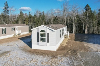 RENT-TO-OWN OPTION AVAILABLE. Welcome to Coastal Estates Mobile - photo 3