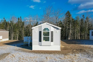 RENT-TO-OWN OPTION AVAILABLE. Welcome to Coastal Estates Mobile - photo 5