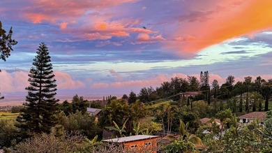 This well-crafted Upcountry home offers sweeping bi-coastal - photo 42