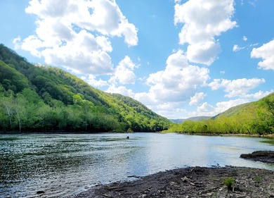 Meadow Creek WV. Lovely home sets above the New River. Four - photo 49