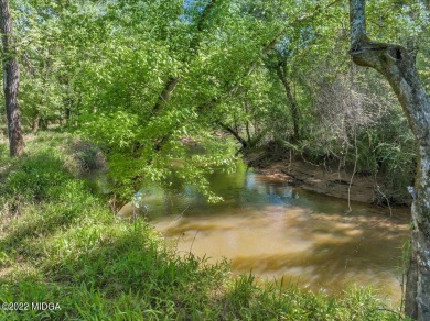 (private lake, pond, creek) Acreage For Sale in Forsyth Georgia
