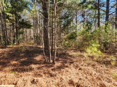 $330,000 - Nestled between Tupelo and Oxford in Pontotoc County - photo 11