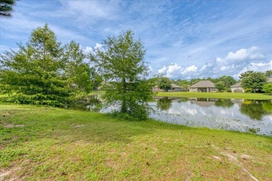 Welcome to your dream home in one of the area's most - photo 48