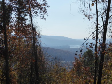 (private lake, pond, creek) Acreage For Sale in South Pittsburg Tennessee