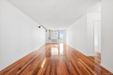 Welcome to Residence 12G at Park Lane North, a bright and - photo 14